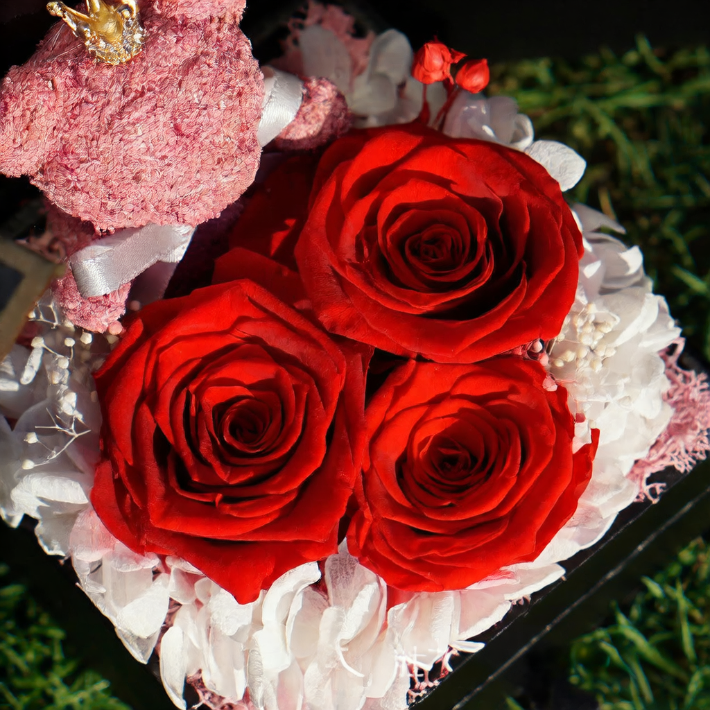 Teddy Bear Eternal Rose